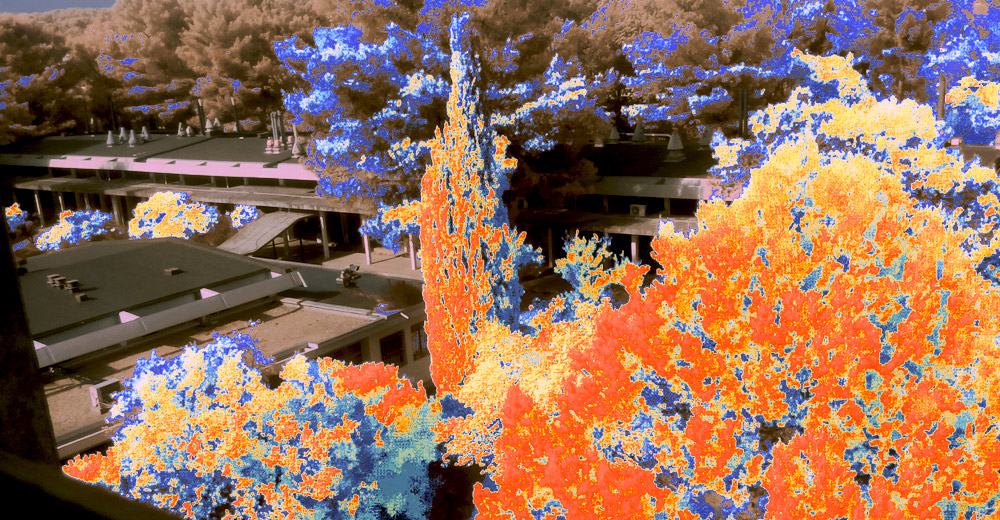 AGRICULTURE DE PRECISION (1)